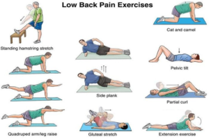 Low Back Pain